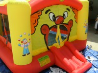 /album/insuflaveis1/palha%c3%a7o%201-jpg1/